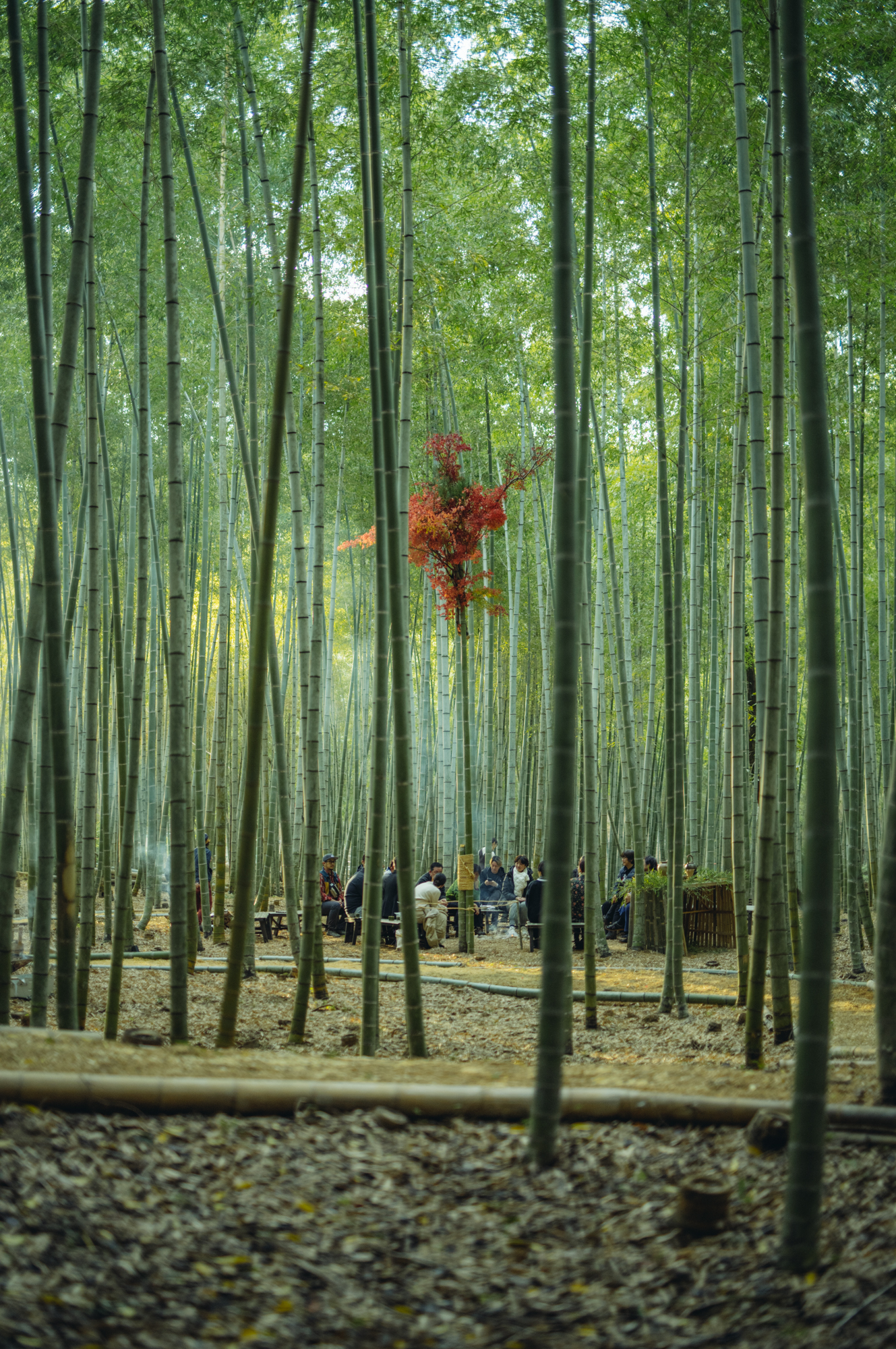 Aru Society｜Urban Commons Project — Aru Sustainable Study Tour 2025